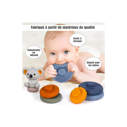 Tour sensorielle Koala